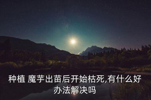 種植 魔芋出苗后開始枯死,有什么好辦法解決嗎