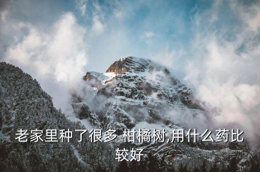 老家里種了很多 柑橘樹,用什么藥比較好