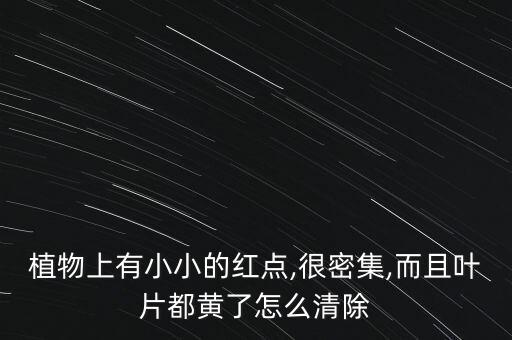 植物上有小小的紅點,很密集,而且葉片都黃了怎么清除