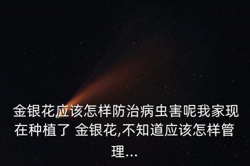  金銀花應該怎樣防治病蟲害呢我家現在種植了 金銀花,不知道應該怎樣管理...