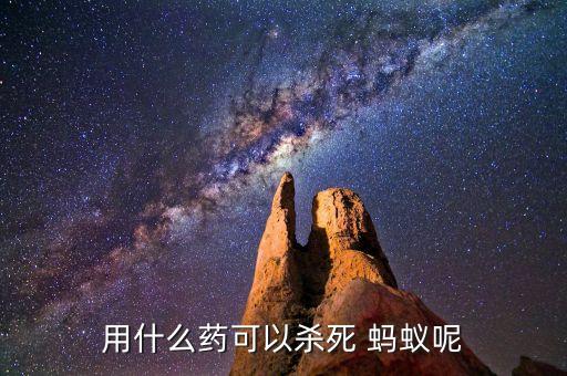 用什么藥可以殺死 螞蟻呢