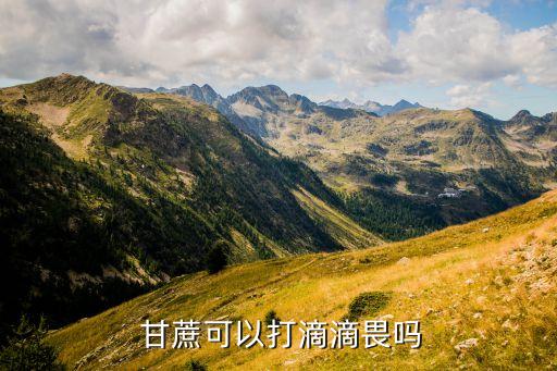  甘蔗可以打滴滴畏嗎