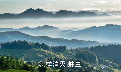 怎樣消滅 蛀蟲