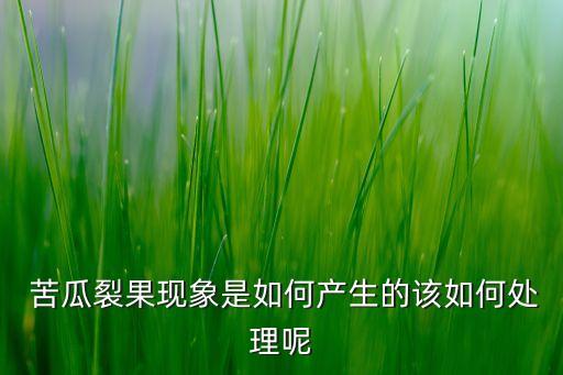  苦瓜裂果現象是如何產生的該如何處理呢