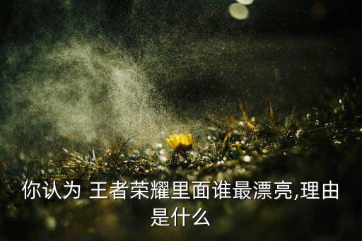 你認為 王者榮耀里面誰最漂亮,理由是什么