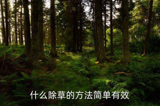 殺死小草用什么農藥,什么農藥能大量殺死蒼蠅