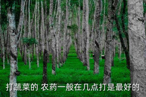 打蔬菜的 農(nóng)藥一般在幾點(diǎn)打是最好的