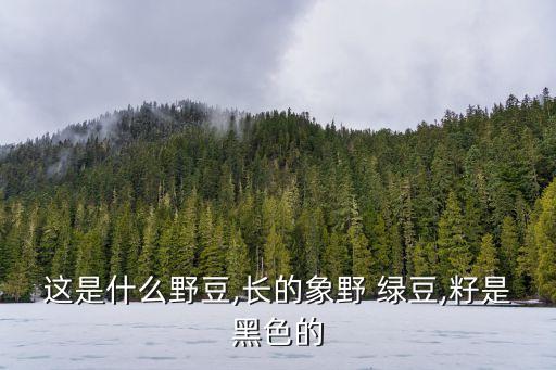 這是什么野豆,長的象野 綠豆,籽是黑色的