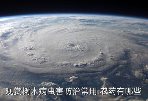 樹(shù)上噴什么農(nóng)藥,用什么農(nóng)藥噴毛毛蟲(chóng)最有效