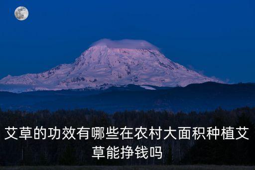 艾草的功效有哪些在農(nóng)村大面積種植艾草能掙錢嗎