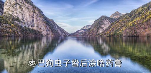 棗狗用什么農藥防治,果實蠅用什么農藥防治?