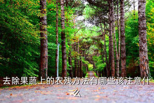 去除果蔬上的農殘方法有哪些該注意什么