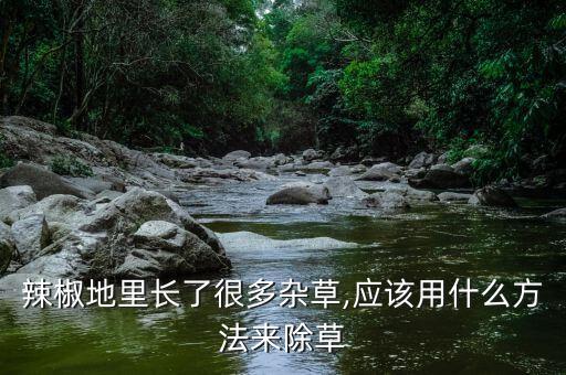 辣椒地里長了很多雜草,應該用什么方法來除草