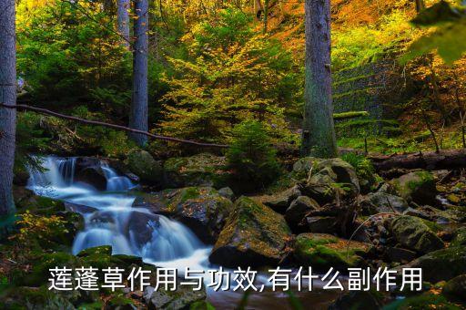 蓮蓬用什么農(nóng)藥,蓮蓬長什么樣子圖片