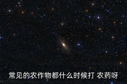 秋季什么時候噴農藥,什么時候噴農藥效果最好