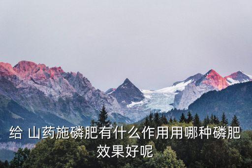 給 山藥施磷肥有什么作用用哪種磷肥效果好呢