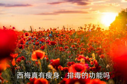 西梅真有瘦身、排毒的功能嗎