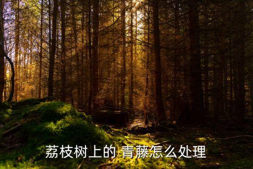 什么農藥消滅青藤,用什么農藥可以消滅竹子