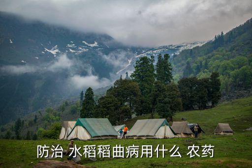 防治 水稻稻曲病用什么 農藥