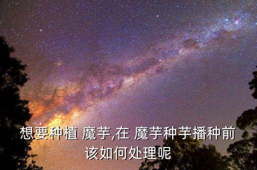 想要種植 魔芋,在 魔芋種芋播種前該如何處理呢