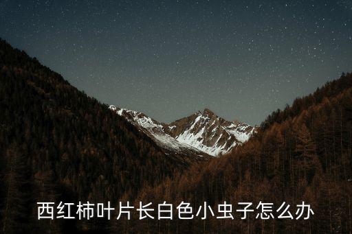 西紅柿葉片長白色小蟲子怎么辦