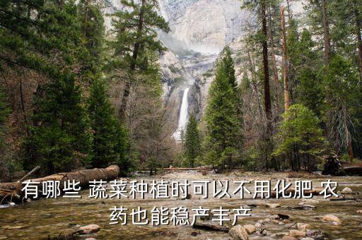 有哪些 蔬菜種植時可以不用化肥 農(nóng)藥也能穩(wěn)產(chǎn)豐產(chǎn)