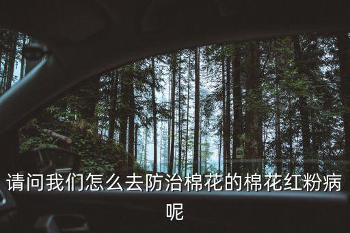 請問我們怎么去防治棉花的棉花紅粉病呢