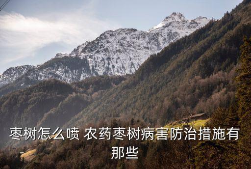 什么農(nóng)藥打上棗發(fā)白,什么時(shí)間打農(nóng)藥效果最佳