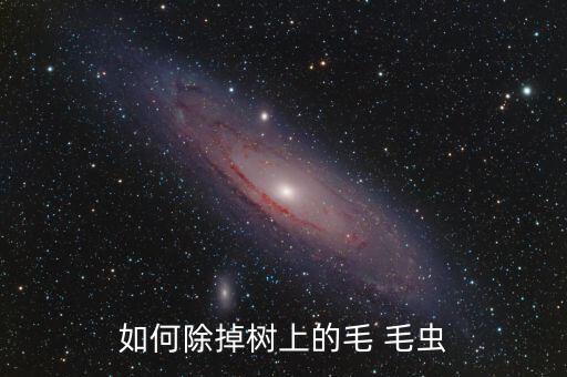 如何除掉樹上的毛 毛蟲