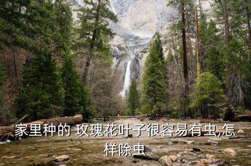 玫瑰花需要什么農(nóng)藥,食用玫瑰花有農(nóng)藥嗎