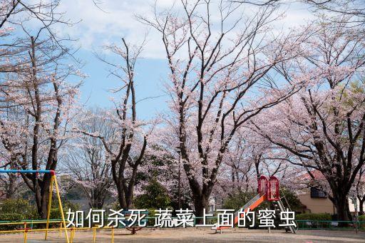 蔬菜用什么農(nóng)藥去蟲子最好,蔬菜有蟲子打什么農(nóng)藥