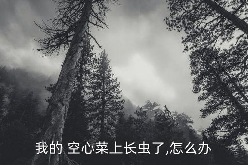 我的 空心菜上長蟲了,怎么辦