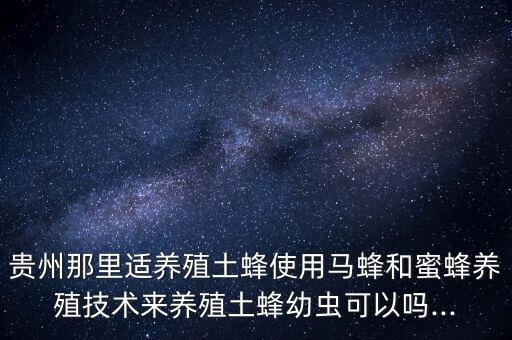 土蜂用什么農藥噴灑,什么時間噴灑農藥效果好