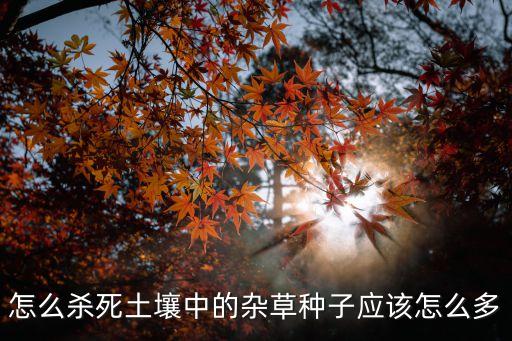 怎么殺死土壤中的雜草種子應該怎么多