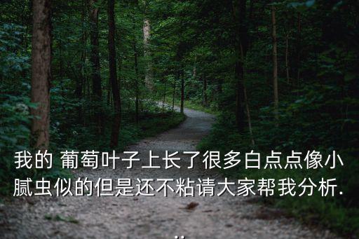 我的 葡萄葉子上長了很多白點點像小膩蟲似的但是還不粘請大家幫我分析...