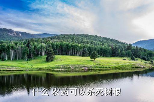 什么 農(nóng)藥可以殺死樹根