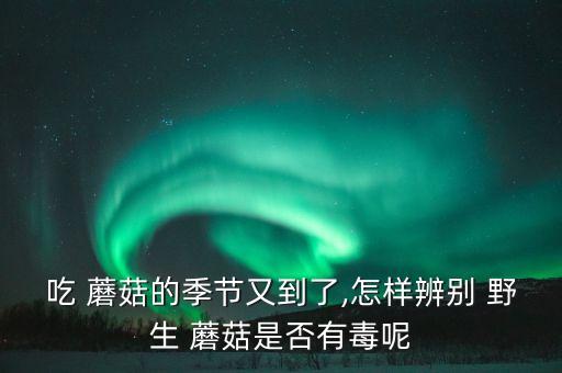 吃 蘑菇的季節(jié)又到了,怎樣辨別 野生 蘑菇是否有毒呢