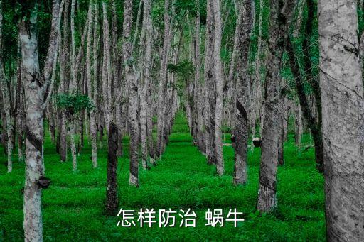 什么農藥可治蝸牛,菜地有蝸牛用什么農藥