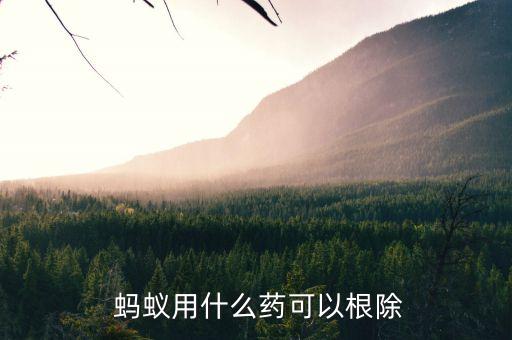 什么農藥殺螞蟻的,螞蟻用什么農藥可以除掉它