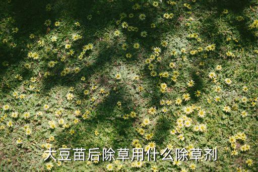  大豆苗后除草用什么除草劑