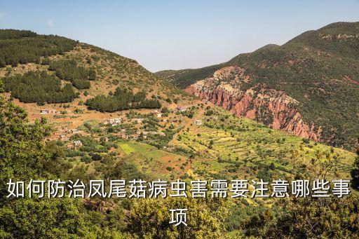 草菇栽培用什么農藥打螨蟲
