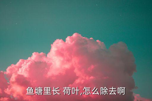 魚塘里長 荷葉,怎么除去啊