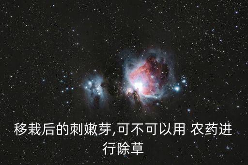 移栽后的刺嫩芽,可不可以用 農藥進行除草