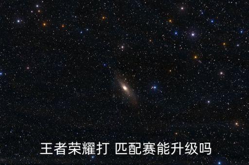 王者農(nóng)藥匹配技術是什么,打王者農(nóng)藥是什么意思