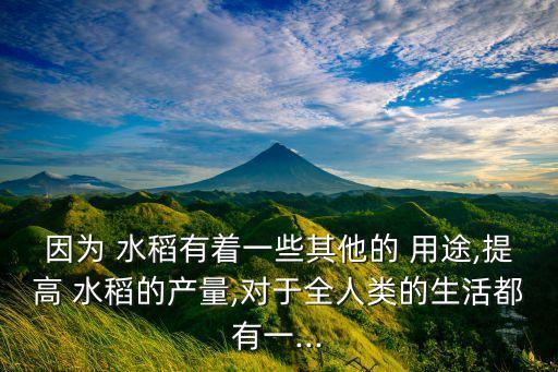 水稻噴灑農藥的用途是什么