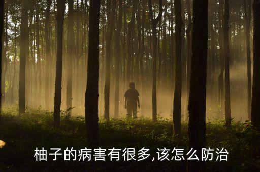  柚子的病害有很多,該怎么防治