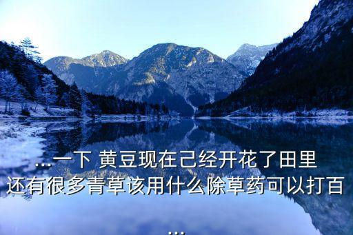黃豆用什么農(nóng)藥防治,果實(shí)蠅用什么農(nóng)藥防治?