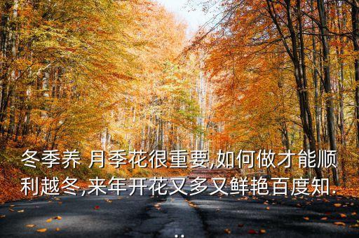 冬季養 月季花很重要,如何做才能順利越冬,來年開花又多又鮮艷百度知...