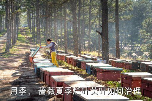 薔薇病害用什么農藥,健達農藥針對什么病害