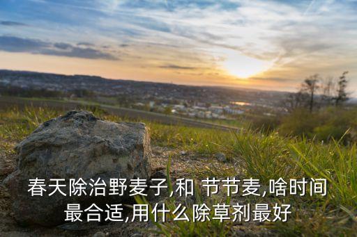 節節麥用什么農藥好,防治節節麥的農藥什么時候打